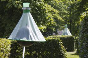 Bremsenfallen im Außenbereich