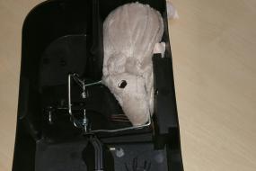 Köderstation mit Schlagfalle für Ratten