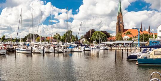 Schädlingsbekämpfung Schleswig