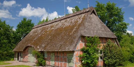 Schädlingsbekämpfung Wattenbek