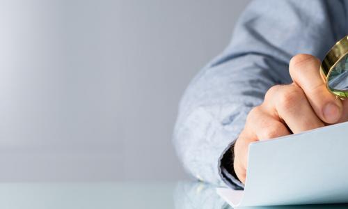 Warnung vor „falschen“ Schädlingsbekämpfern