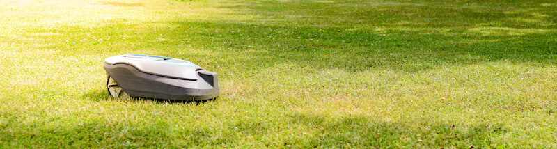 Mähroboter mäht Rasen in einem Garten